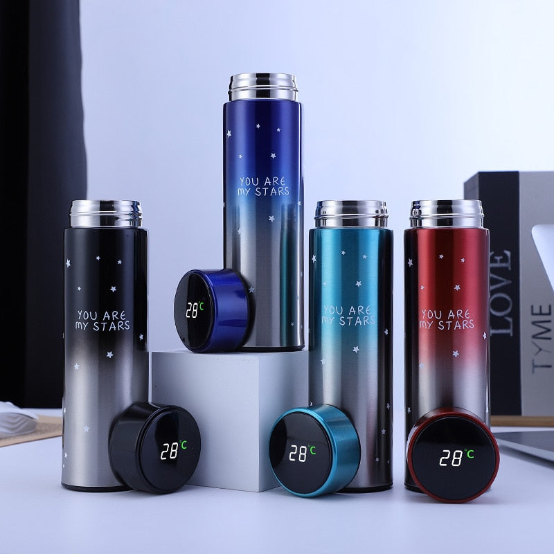 Led Temperature Display Vacuum Thermal Flask 304 Stainless Steel 13 Colours Thermos Bottle Cute