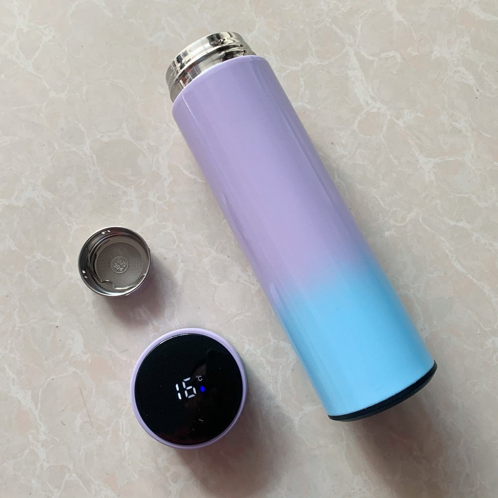 Led Temperature Display Vacuum Thermal Flask 304 Stainless Steel 13 Colours Thermos Bottle Cute